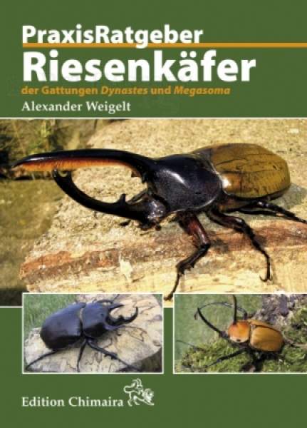 PraxisRatgeber Riesenkäfer der Gattungen Dynastes und Megasoma